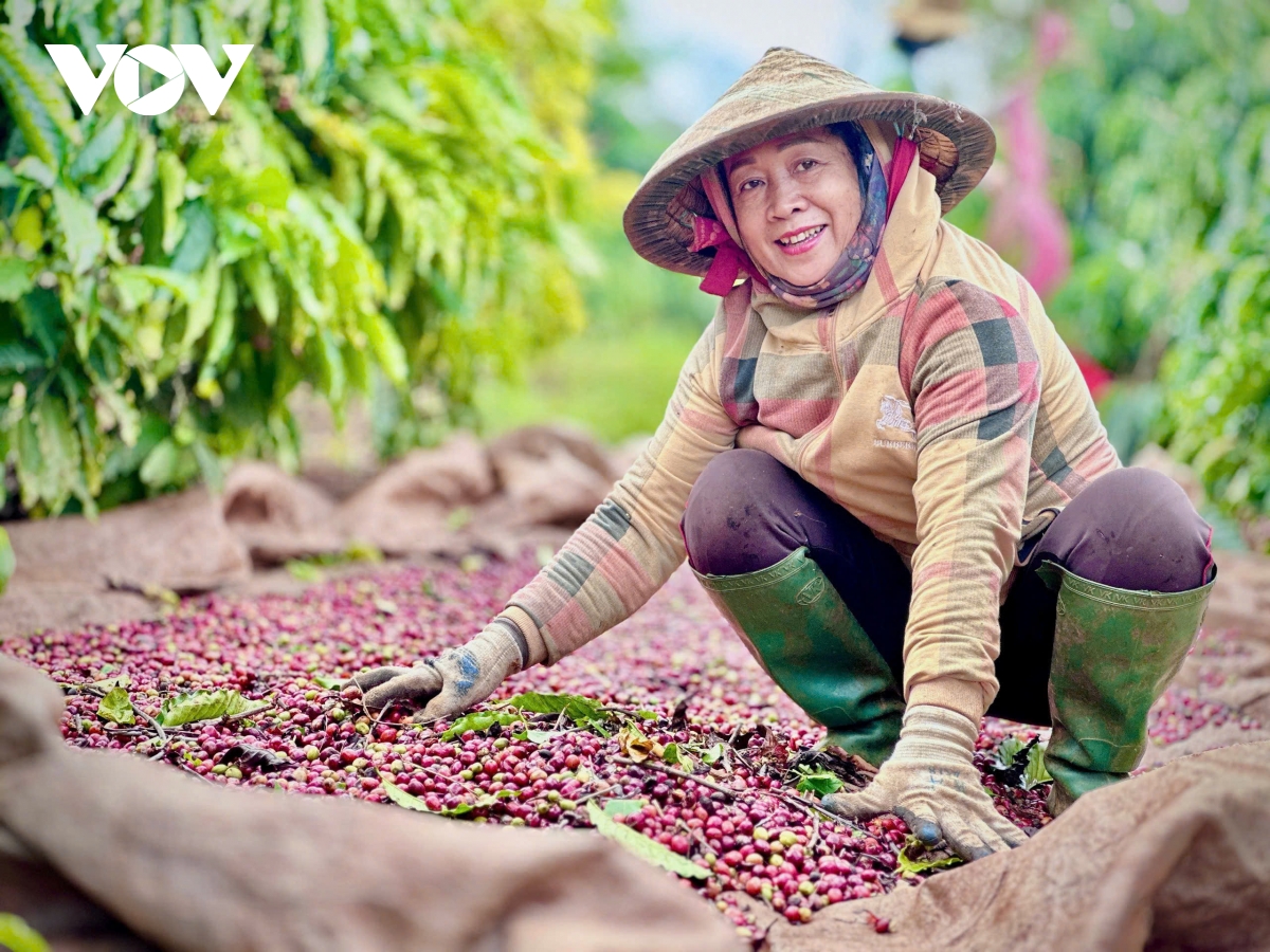 Sàn giao dịch hàng hóa ở Trung tâm tài chính quốc tế cần kết nối với thế giới